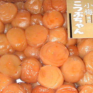 紀州 はちみつ小梅